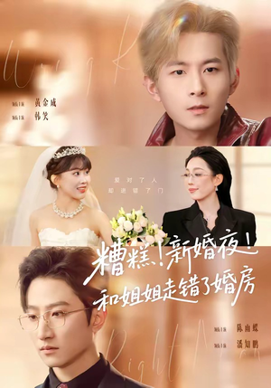 糟糕新婚夜和姐姐走错了婚房（77集）80到100集