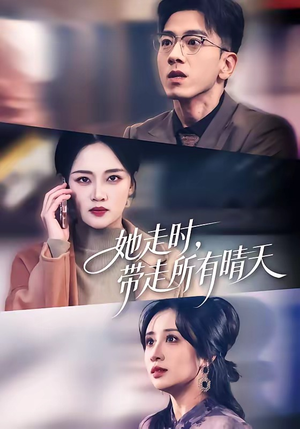 她走时，带走所有晴天（78集）免费看全集