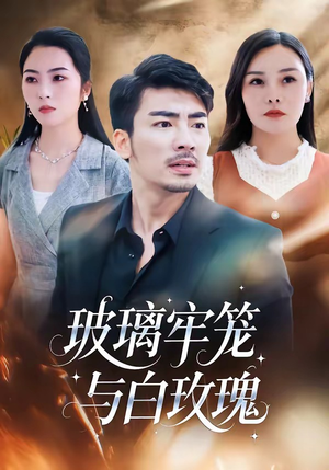 玻璃牢笼与白玫瑰（75集）第32集