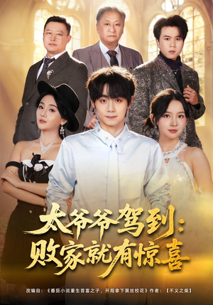 太爷爷驾到：败家就有惊喜（80集）去哪里看