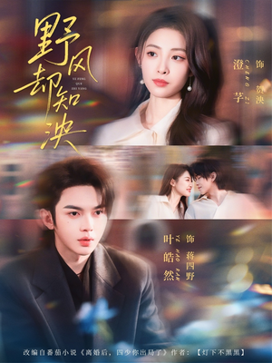 野风却知泱（80集）这短剧太好看了