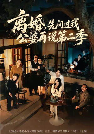 离婚，先问过我公婆再说第二季（90集）第三季
