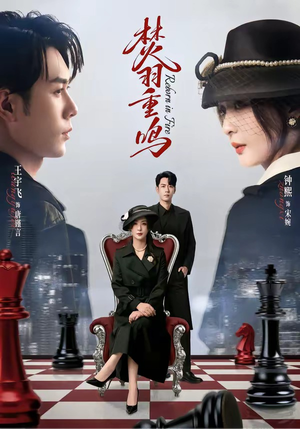 焚羽重鸣（60集）快来看短剧