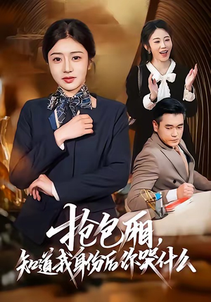抢包厢，知道我身份后你哭什么（70集）免费短剧合集