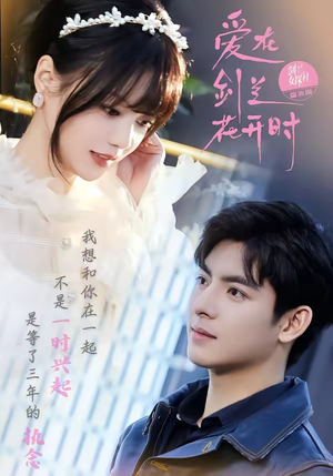 爱在剑兰花开时（56集）精彩不断免费看