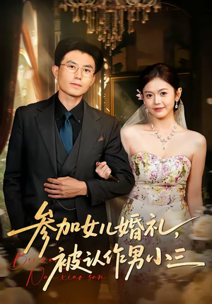 参加女儿婚礼，被认作男小三（36集）推荐你们也去看