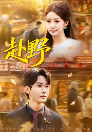 赴野（40集）短剧全集完整