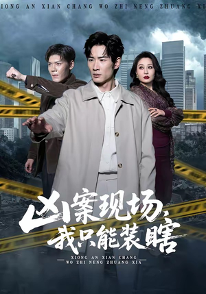 凶案现场，我只能装瞎（72集）视频在线看