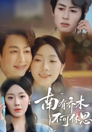 南有乔木，不可休思（68集）免费短剧就是爽