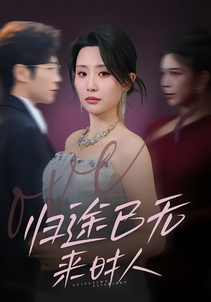 归途已无来时人（70集）怎么看全集