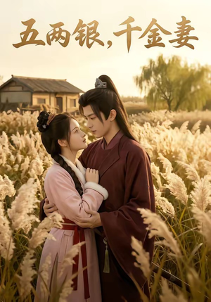 五两银，千金妻（60集）火爆热门短剧