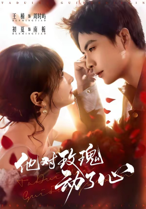 他对玫瑰动了心（68集）短剧热门合集