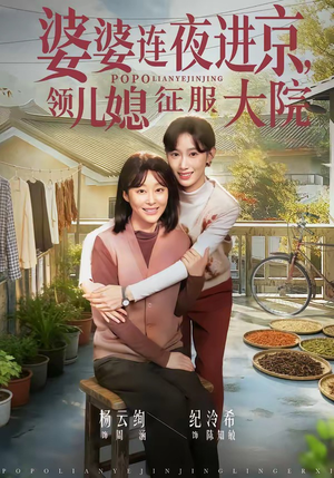 婆婆连夜进京，领儿媳征服大院（78集）精彩短剧随心推