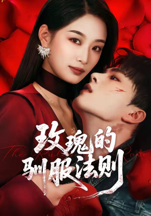 玫瑰的驯服法则（65集）一起看短剧