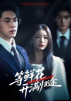 等鲜花开满归途（61集）每日短剧追不停