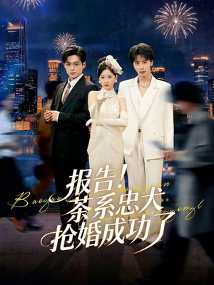 报告！茶系忠犬抢婚成功了（83集）红果免费看短剧