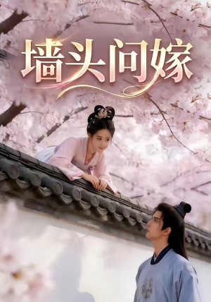 墙头问嫁（29集）最新上映免费看