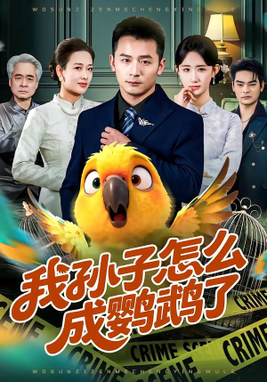 我孙子怎么成鹦鹉了（71集）热门短剧追到爽