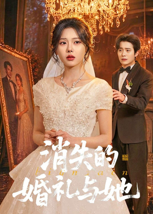 消失的婚礼与她（70集）爆款短剧追不停