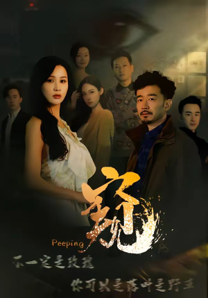 窥伺（37集）第32集
