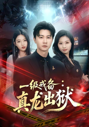 一级戒备：真龙出狱（73集）高清画质免费看