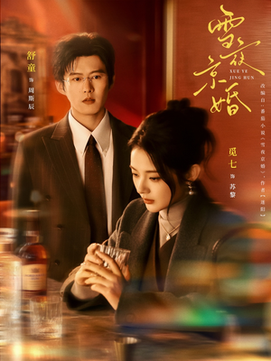 雪夜京婚（84集）免费热门短剧