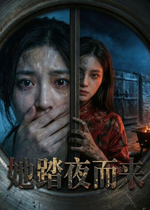她踏夜而来（40集）热门短剧追不停