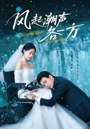 风起潮声各一方(84集) 风起潮声各一方(84集)在哪个平台看好