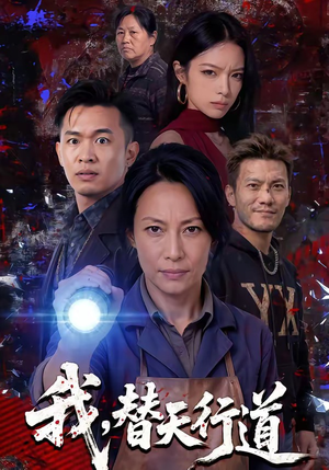 我,替天行道(45集) 我,替天行道(45集)全剧免费观看