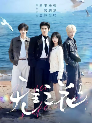 无主之花1（72集）短剧后续更精彩