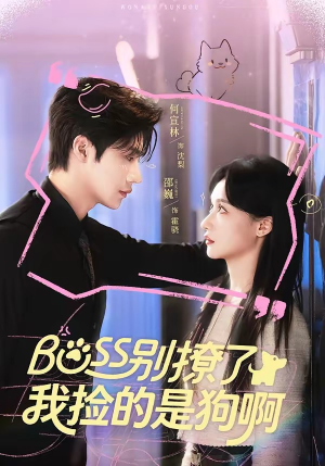 Boss别撩了，我捡的是狗呀（65集）全集免费看短剧