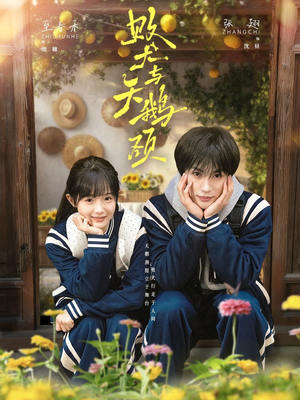 败犬与天鹅颈（71集）在哪个平台能看