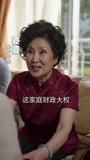 掌家三年，我倒欠婆家十万块（82集）在哪里可以全集