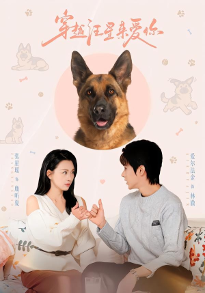 穿越汪星来爱你(62集) 穿越汪星来爱你(62集)百度网盘资源
