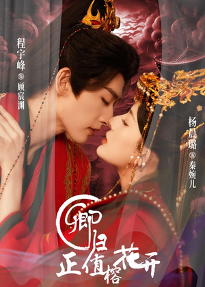 卿归正值榕花开(70集) 卿归正值榕花开(70集)免费观看完整版