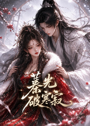 蓁光破寒寂(17集) 蓁光破寒寂(17集)演的怎么样