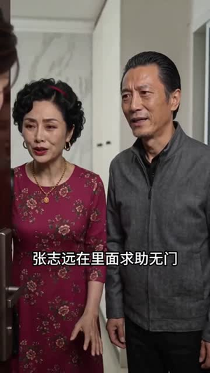 婚破重生（38集）热门短剧追到爽