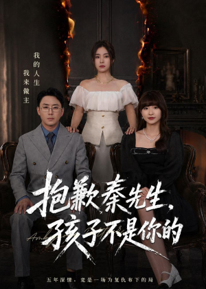 抱歉秦先生，孩子不是你的（53集）短剧全集免费看