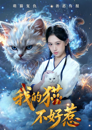 我的猫不好惹（42集）免费看短剧