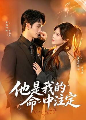 他是我的命中注定（80集）免费看全集