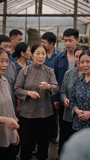 凤凰归来，我带领全村致富（63集）红果免费短剧