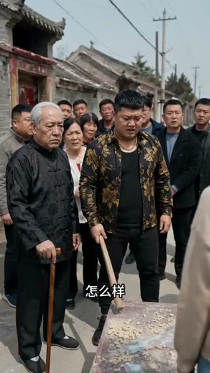 双喜再临门（56集）短剧抢先看全集