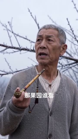 种植：我的伙伴是只熊（66集）精彩短剧分享。