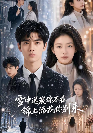雪中送炭你不在，锦上添花你别来（60集）免费在线看全集