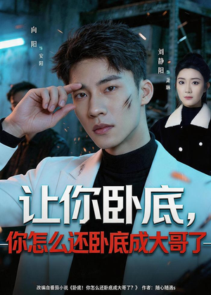 让你卧底，你怎么还卧成大哥了（80集）短剧前十排行榜