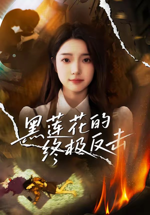 黑莲花的终极反击（60集）免费观看完整版