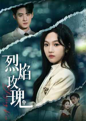 烈焰玫瑰（37集）在线免费观看