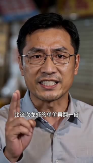 望海风云（51集）短剧小说在线看