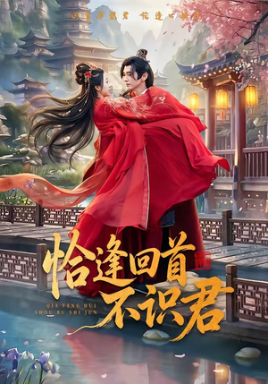 恰逢回首不识君(72集) 恰逢回首不识君(72集)高清无码免费看