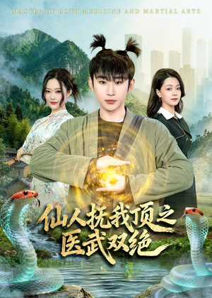 仙人抚我顶之医武双绝（66集）免费短剧完整版